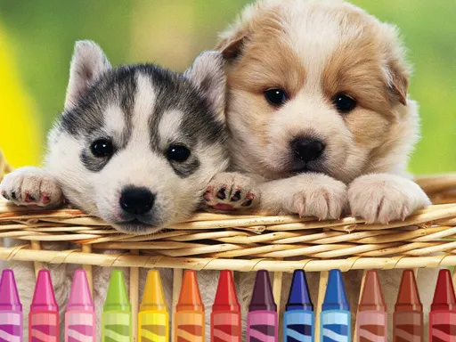 The Calculus of t hat is 4x weaker than steel A Structural Breakdown of Damage Calcs and Usage