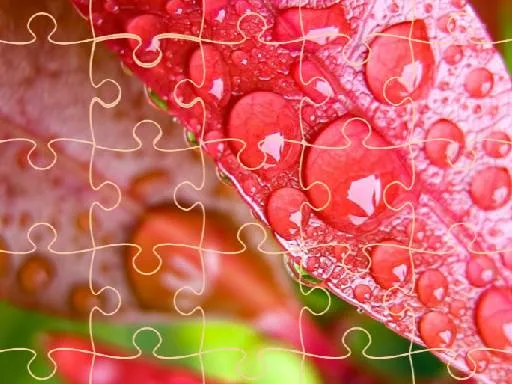 The Calculus of Darkrai’s Vulnerabilities A Structural Breakdown of Type Interactions and Meta Exploits