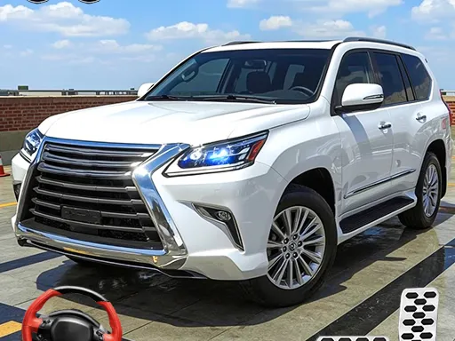 The Calculus of Ground Types Weak To A Structural Breakdown of Damage Calcs and Usage